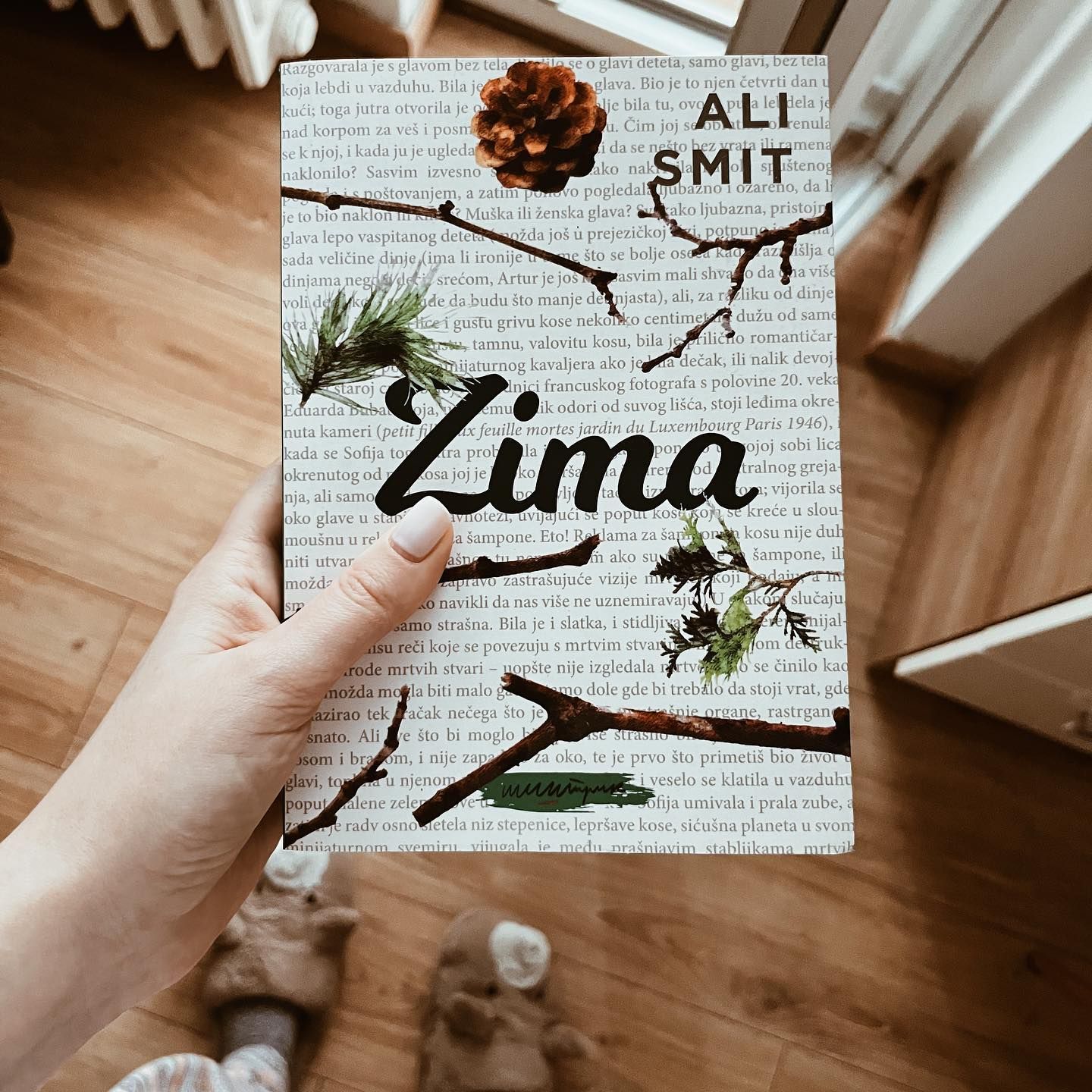 Knjiga Zima, Ali Smit