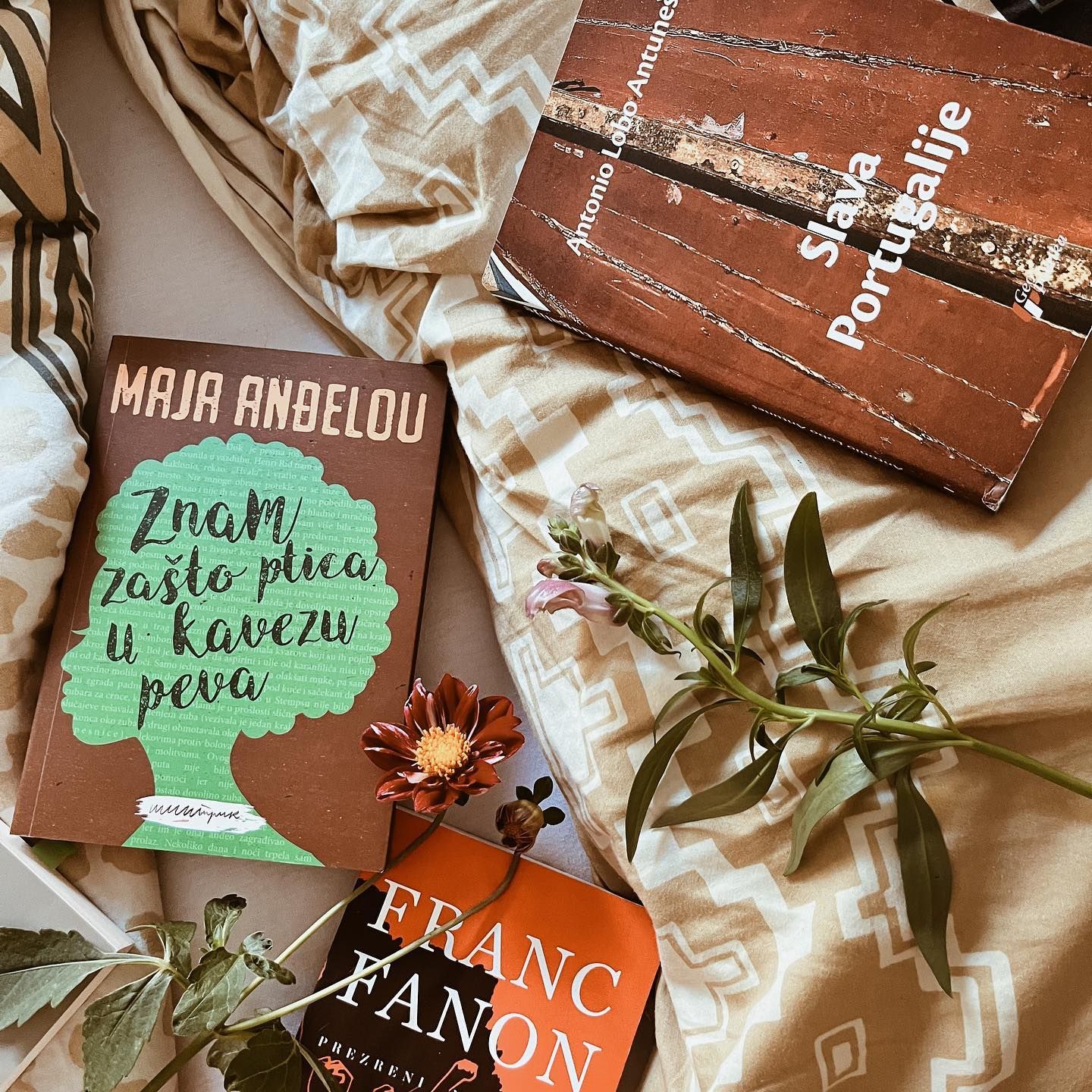 Nekoliko lepih knjiga