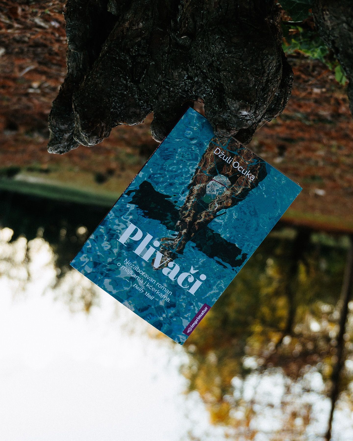 Knjiga Plivači, Džuli Ocuka