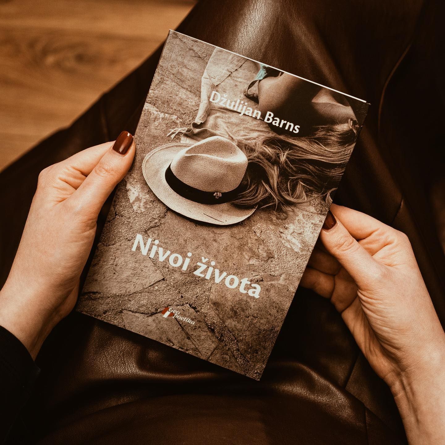 Knjiga Nivoi života, Džulijana Barnsa