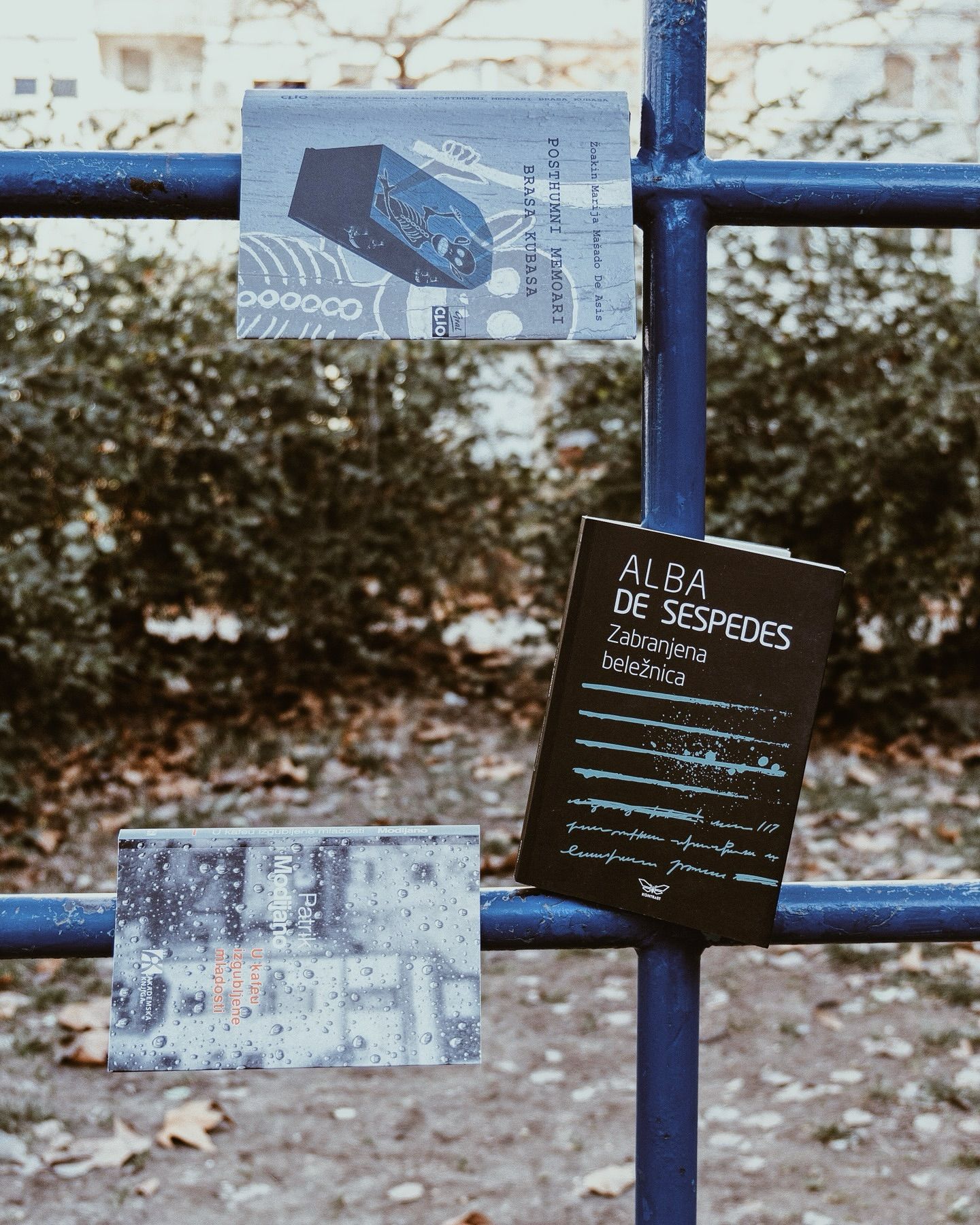 Knjige koje sam pročitala u januaru