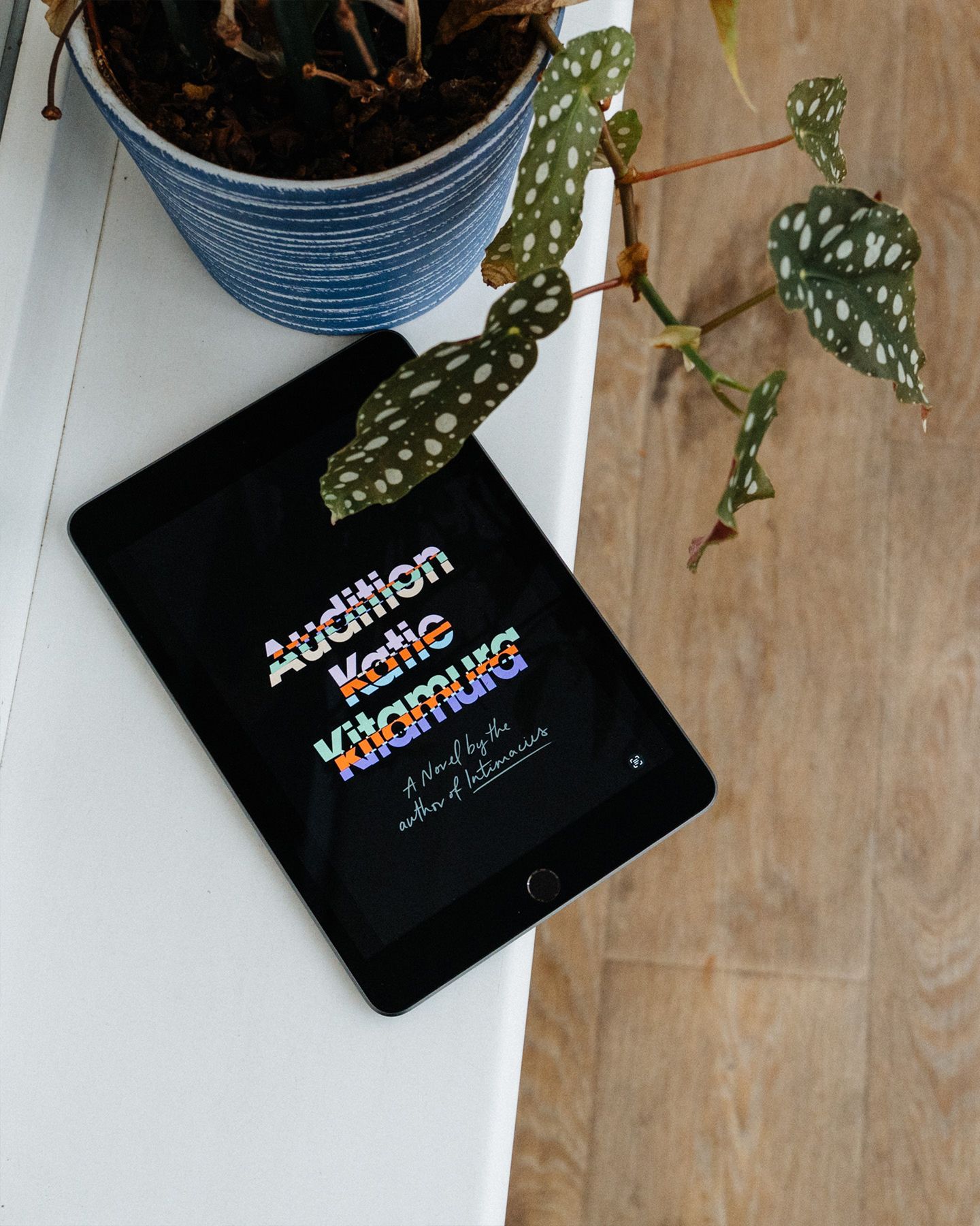 Knjiga Audition, Kejti Kitamura